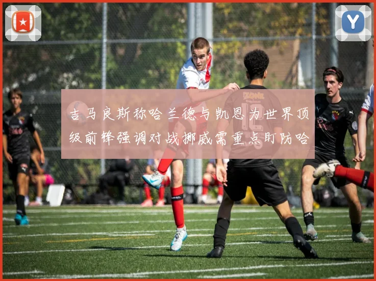 吉马良斯称哈兰德与凯恩为世界顶级前锋强调对战挪威需重点盯防哈兰德